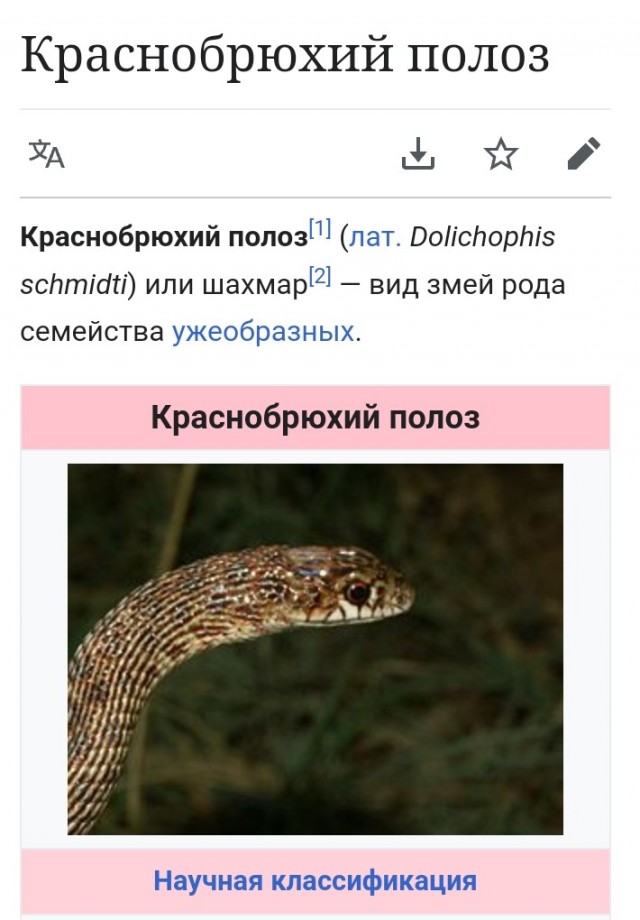 Обычный день парня из Дагестана