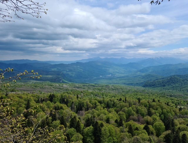 Просто фотки с телефона