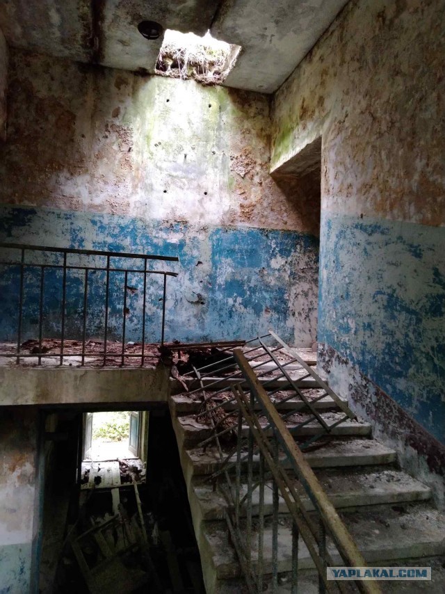 Зона отчуждения. Полесский радиационно-экологический заповедник. д.Погонное (Хойникский р-н, Гомельская обл)