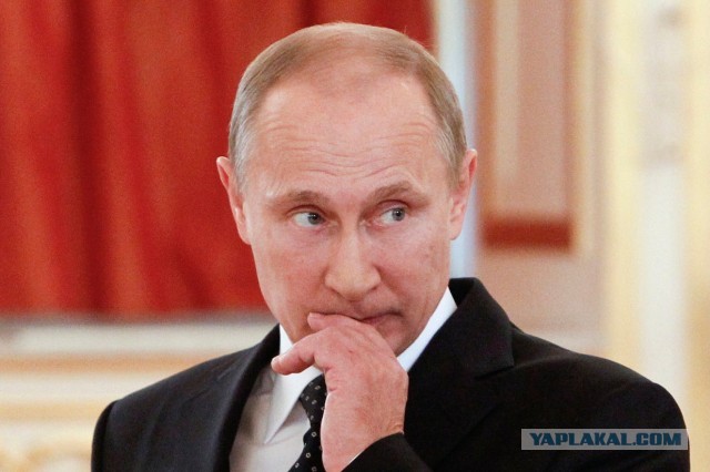 Путин и Шойгу посетили мобилизованных на полигоне в Рязанской области