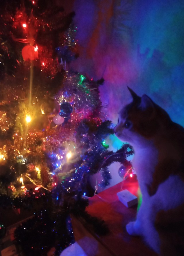 С Новым годом!