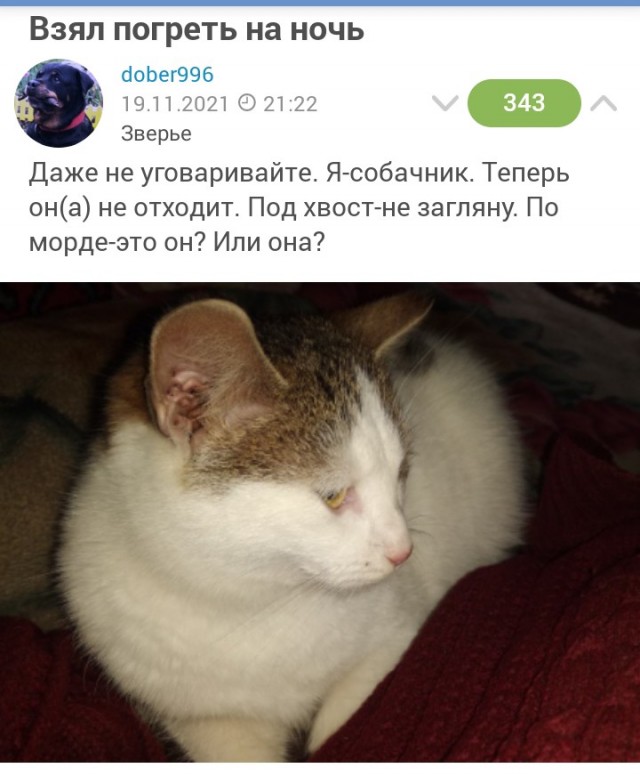 Как и говорили.