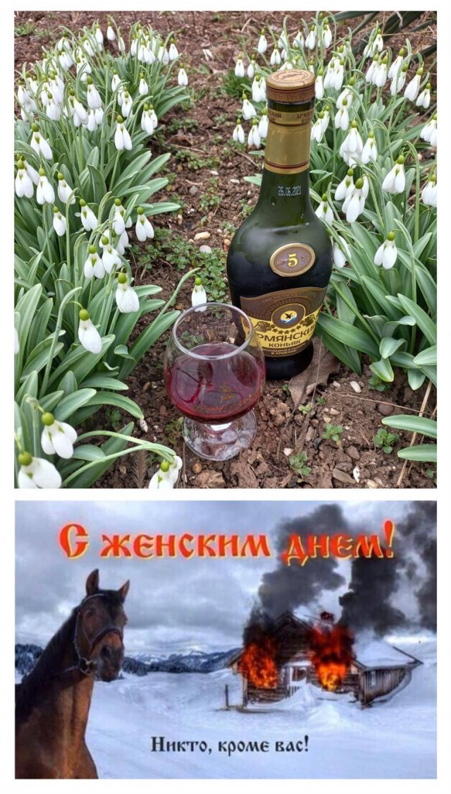 Победная поступь идиотизма по планете – том 10