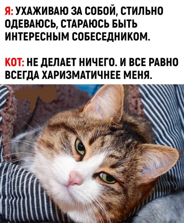 Картинки и мемы, всяко разно - 183