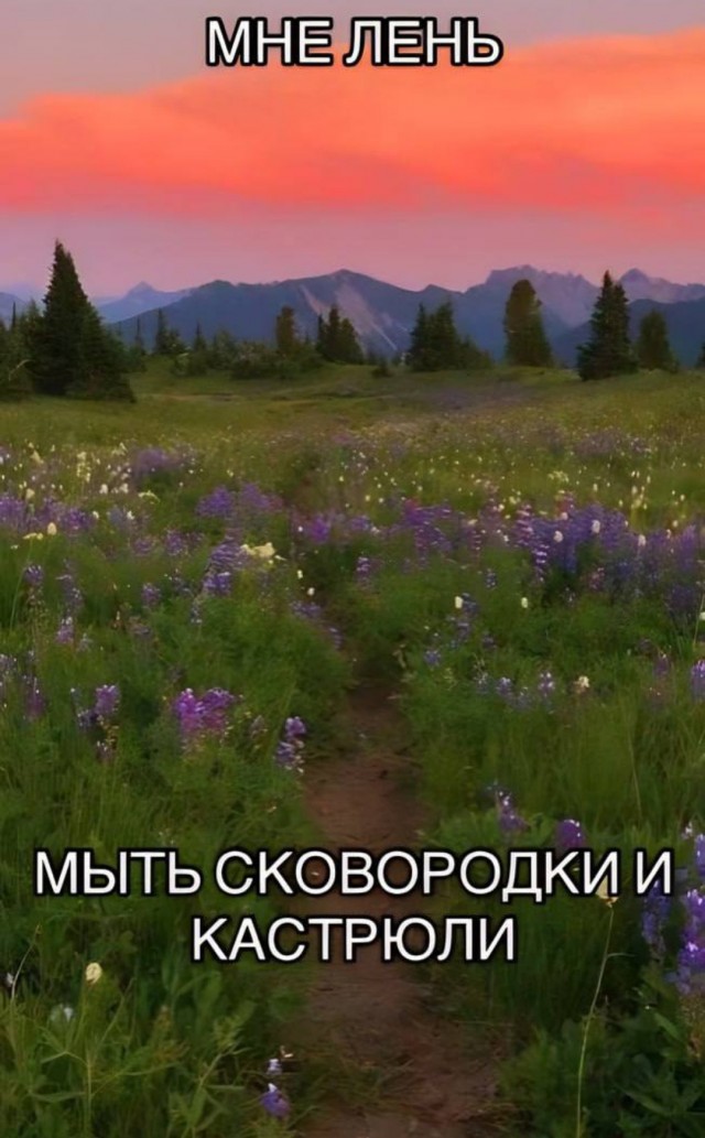 Всего понемногу. От 29.07