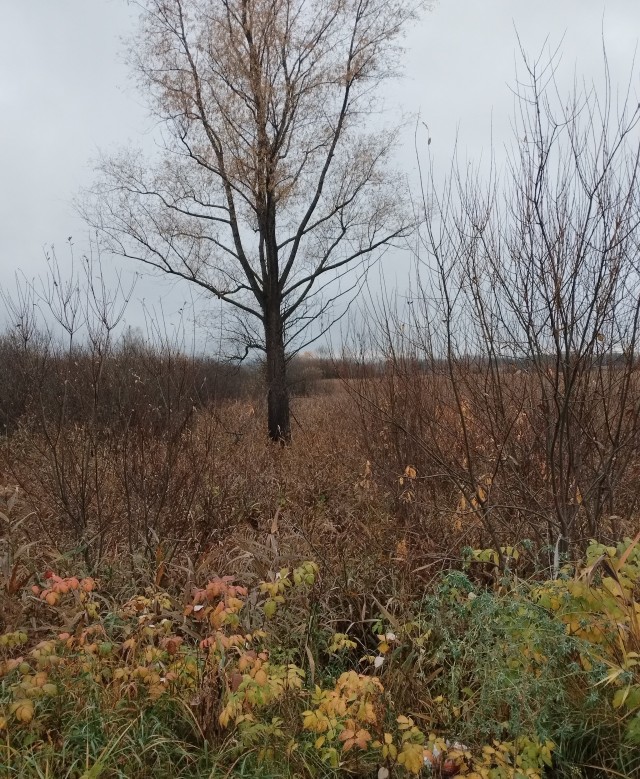 Хочешь узнать, как женщина занимается сексом? Посмотри на то, как она ест