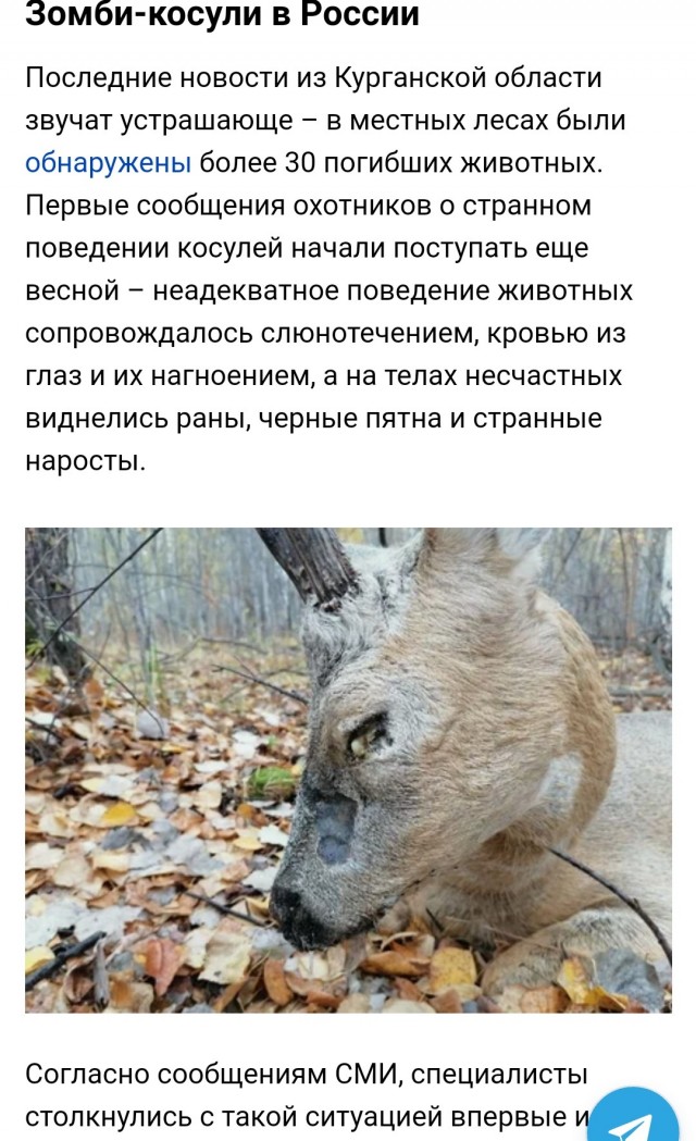 Ещё один спойлер на Новый год