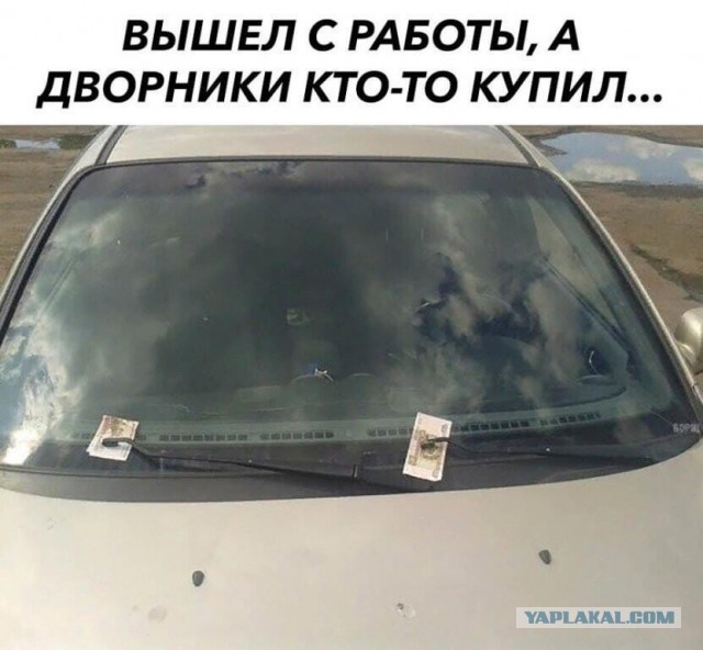 Тлидцать тли от 20 февлаля