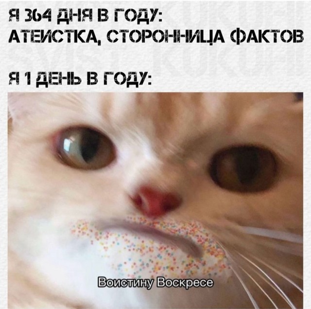 Воцерковленный