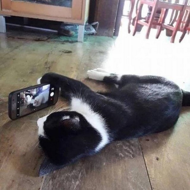 ФотоВинегрет