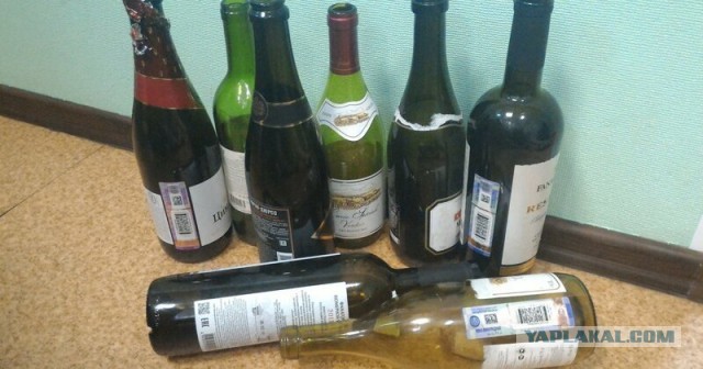 Приём, приём, продолжаю наблюдение