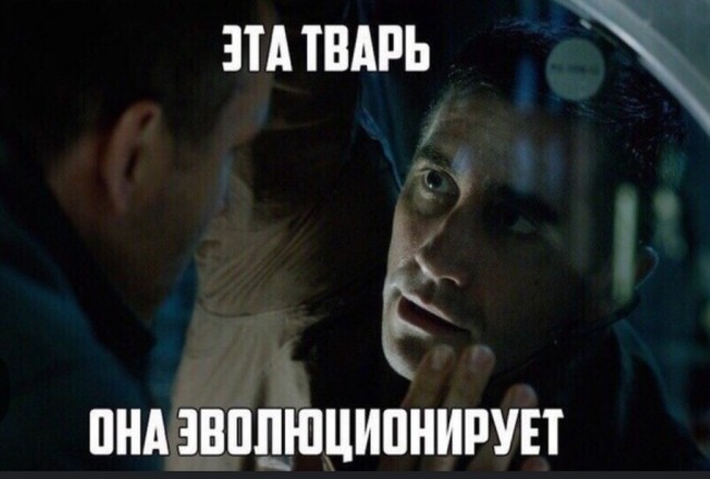 Картинки из разряда "чё тут происходит?"