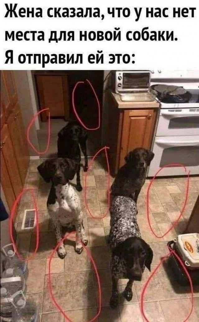 Прикольные и просто красивые картинки