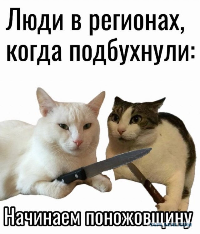 Всего понемногу. От 21.11.2024.