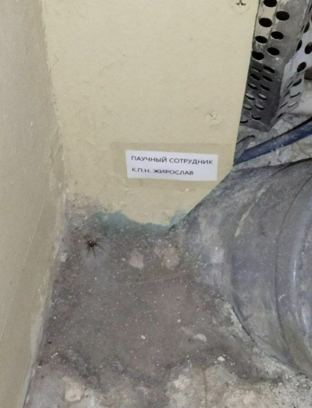 Народная меДИЧина 2024