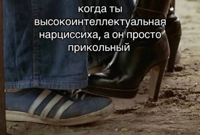 Весёлый полтишок 08.01.25