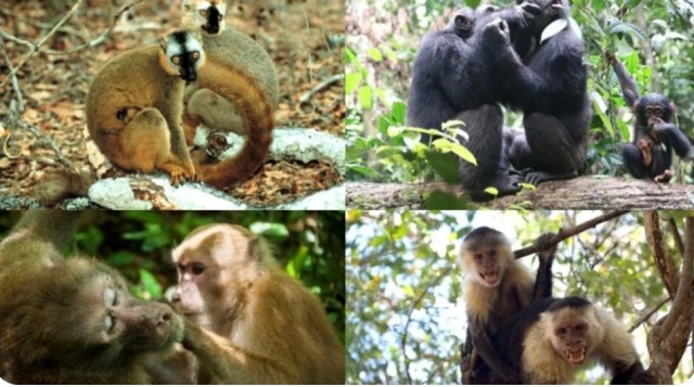 Любовь или выгода