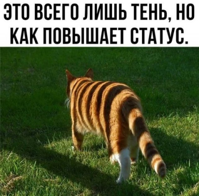 Завалялось тут случайно немного забавных картинок