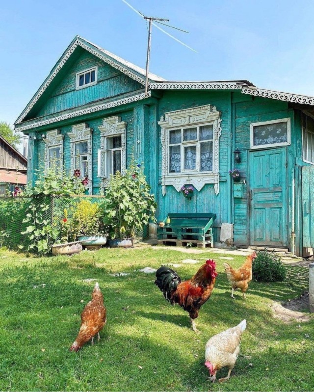 Прикольные и просто красивые картинки 13.05.2025