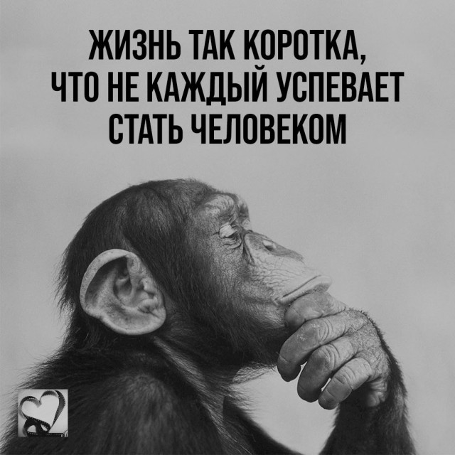 Так себе картинки 14.07.25
