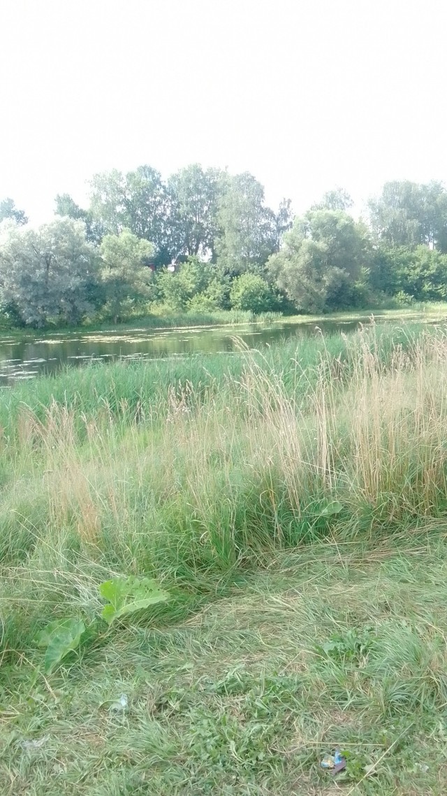 Чуть природы