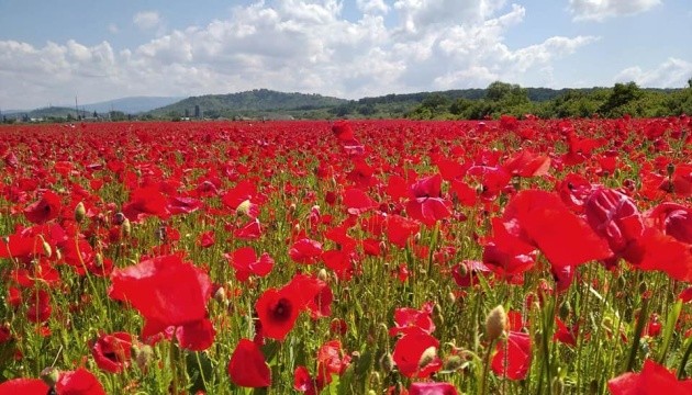 Про романтик.