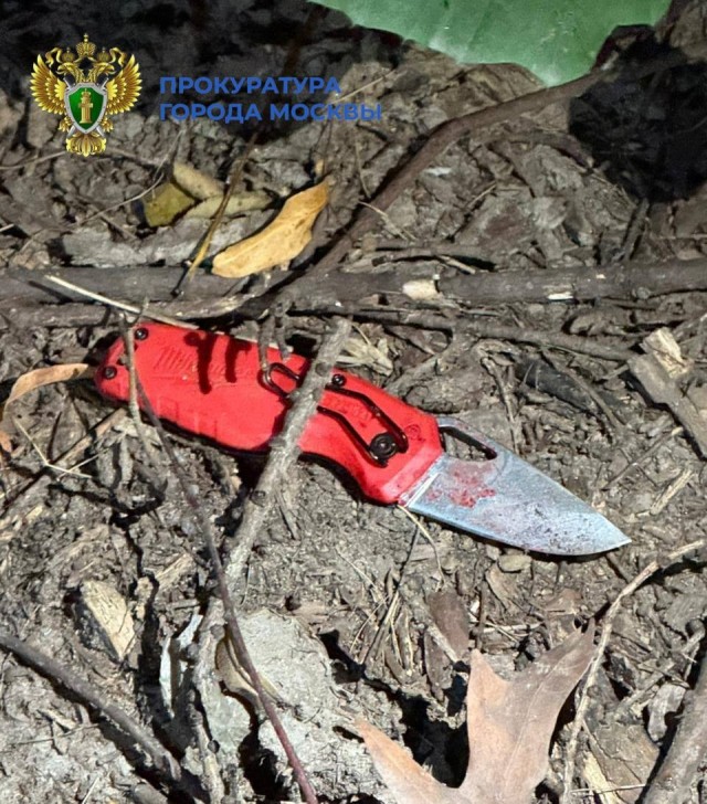 Два тела с ножевыми ранениями обнаружили этой ночью в двух разных парках Москвы