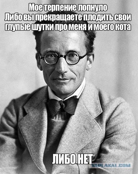 Шрёдингер негодует
