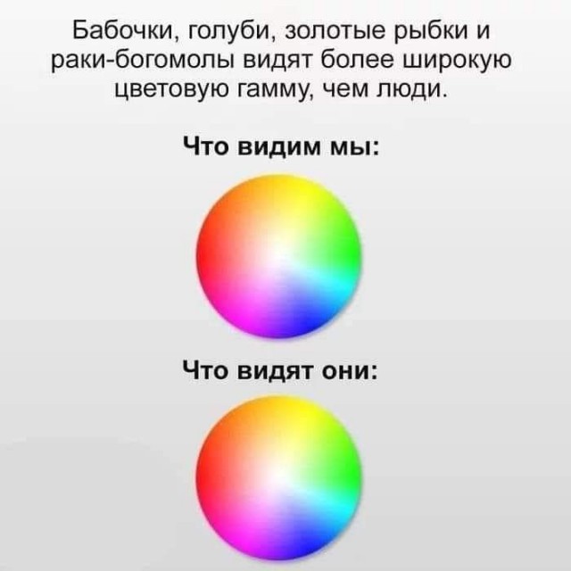 Среда обитания 0.1