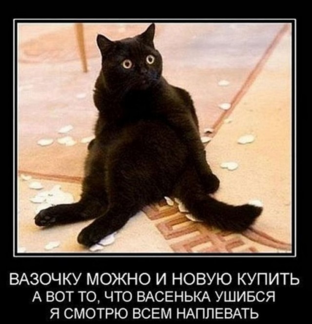 Пятничные бояны