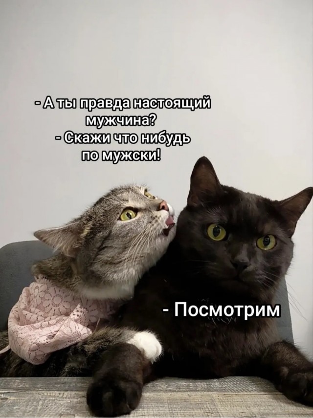 Прикольные и просто красивые картинки 02.12.2025