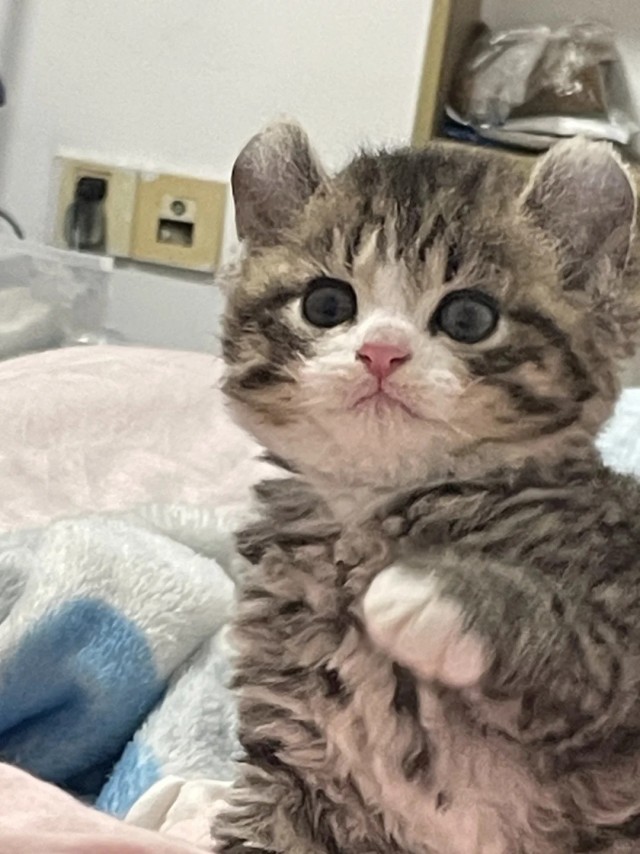 Прошу слова.