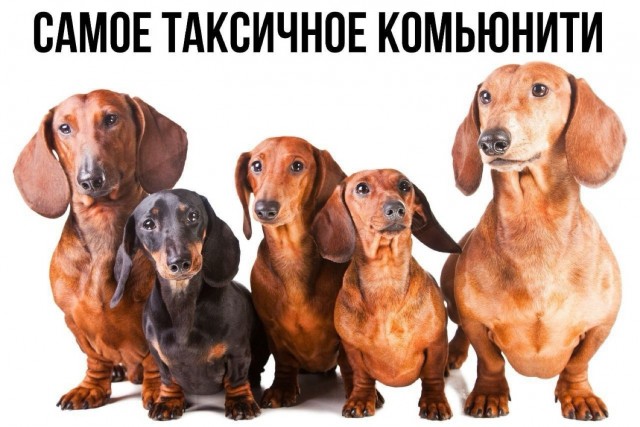 Четверговые картинки