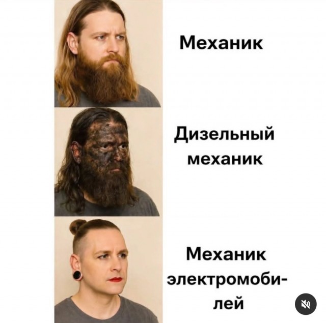Взгляд на брошенные в Подмосковных полях Москвичи 3Е
