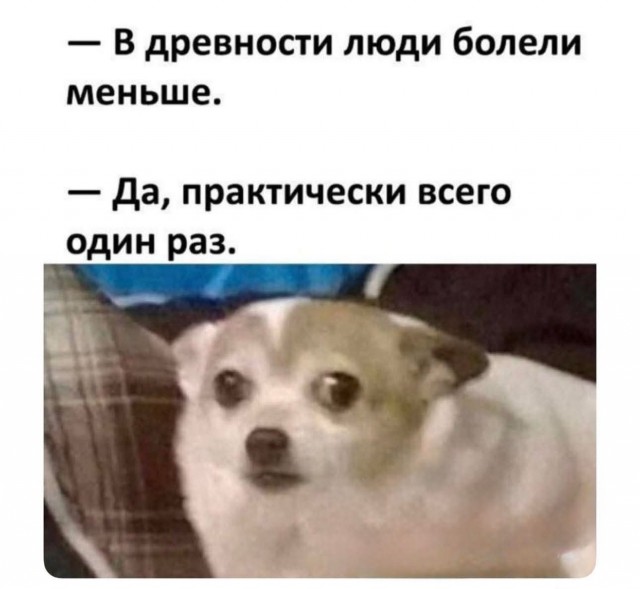 Последняя маленькая пятница 2025