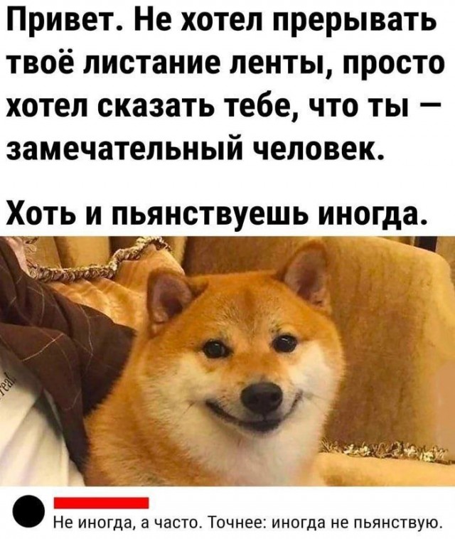 Пятничные алкобояны