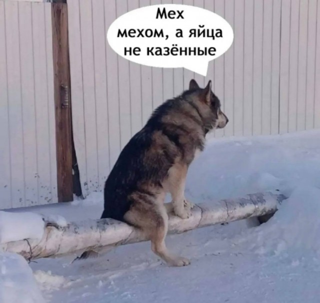Субботние картинки