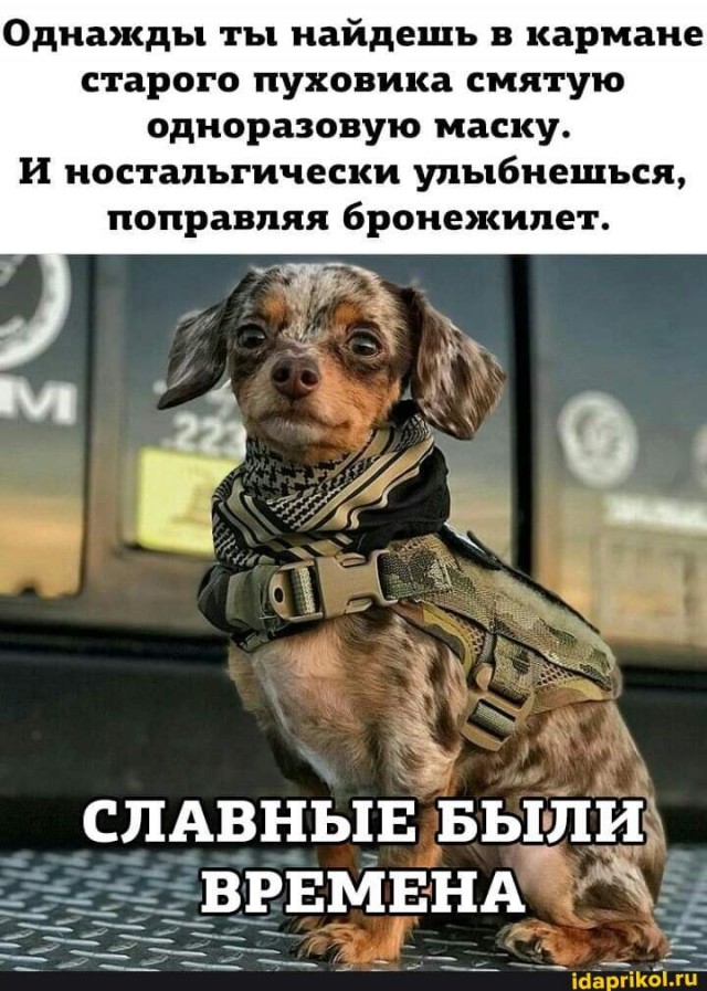 Арифметика войны