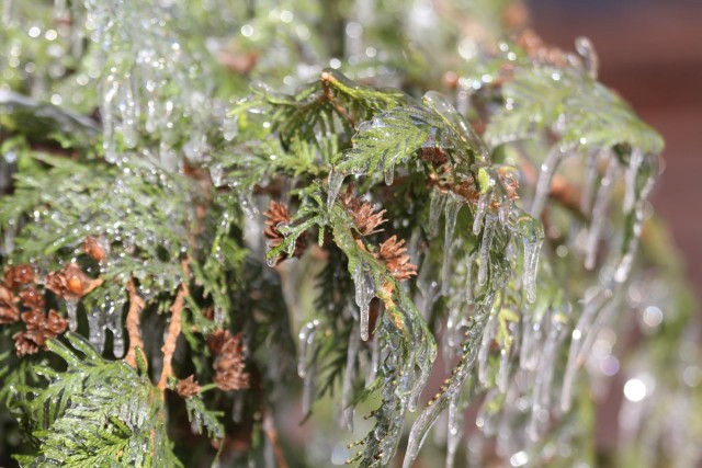 Ледяной дождь 03.05.24 (Лен.обл)