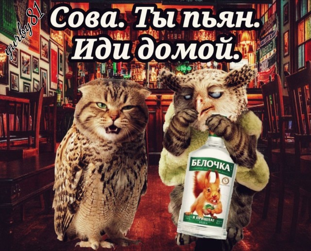 Прогноз погоды в Москве-кормилице от СоПогИ*
