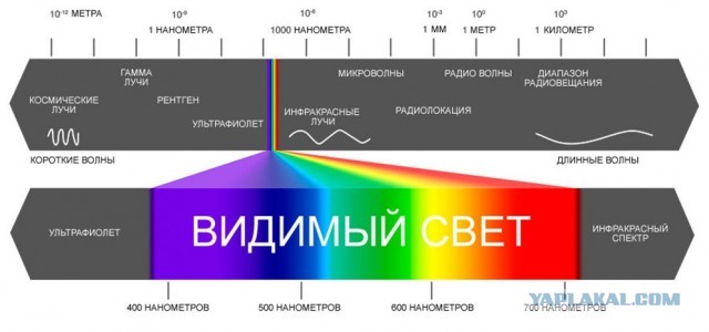 Бывало такое: вы один в квартире и вдруг кажется, что кто-то прошел за спиной?