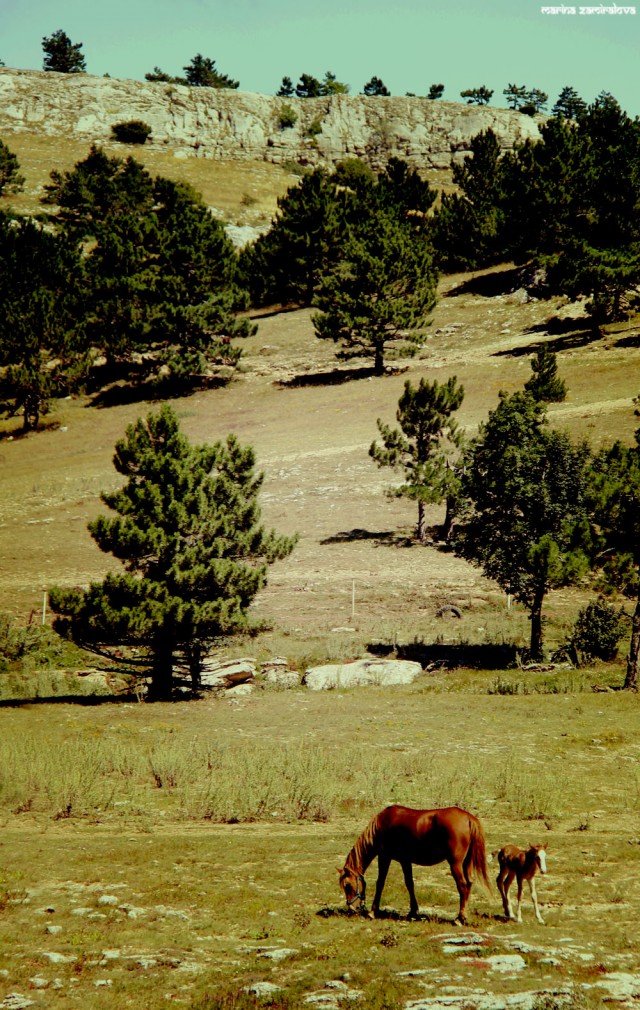 Крым: Судак и окрестности