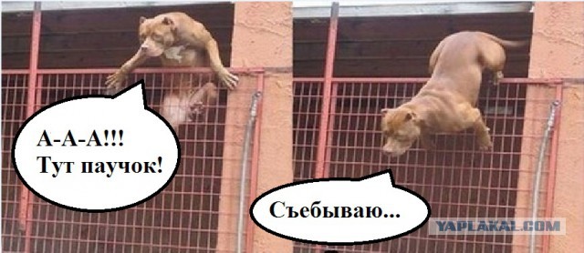 Неловкий момент