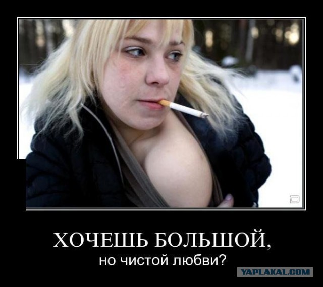 Ищу жену. Есть желающие?