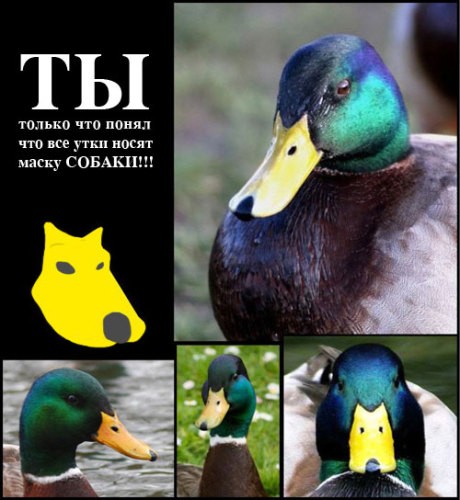 Вот это новости :D