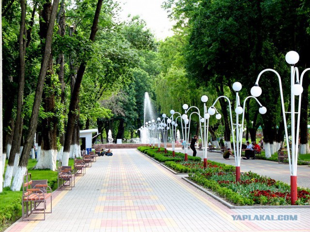 Киев на грани паники