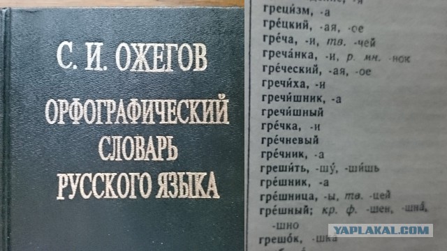 Греча или Гречка?