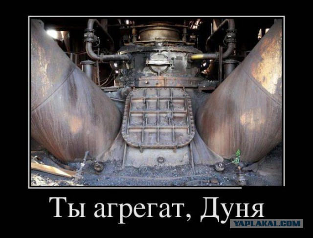 Весёлости в картинках