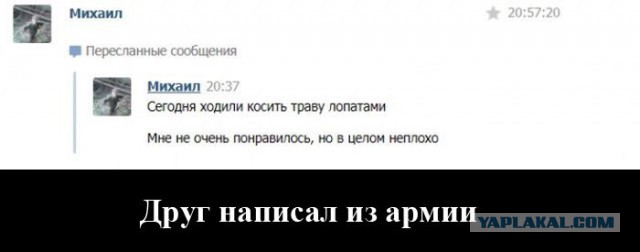 Смешные комментарии 14.06.2015