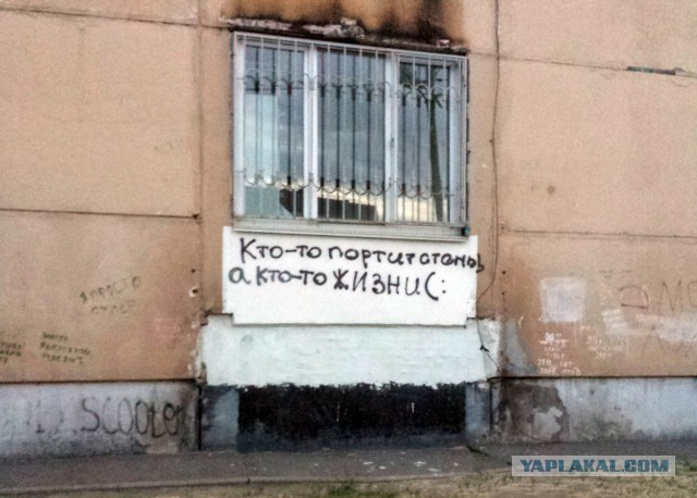 34 правдивых надписей на стенах